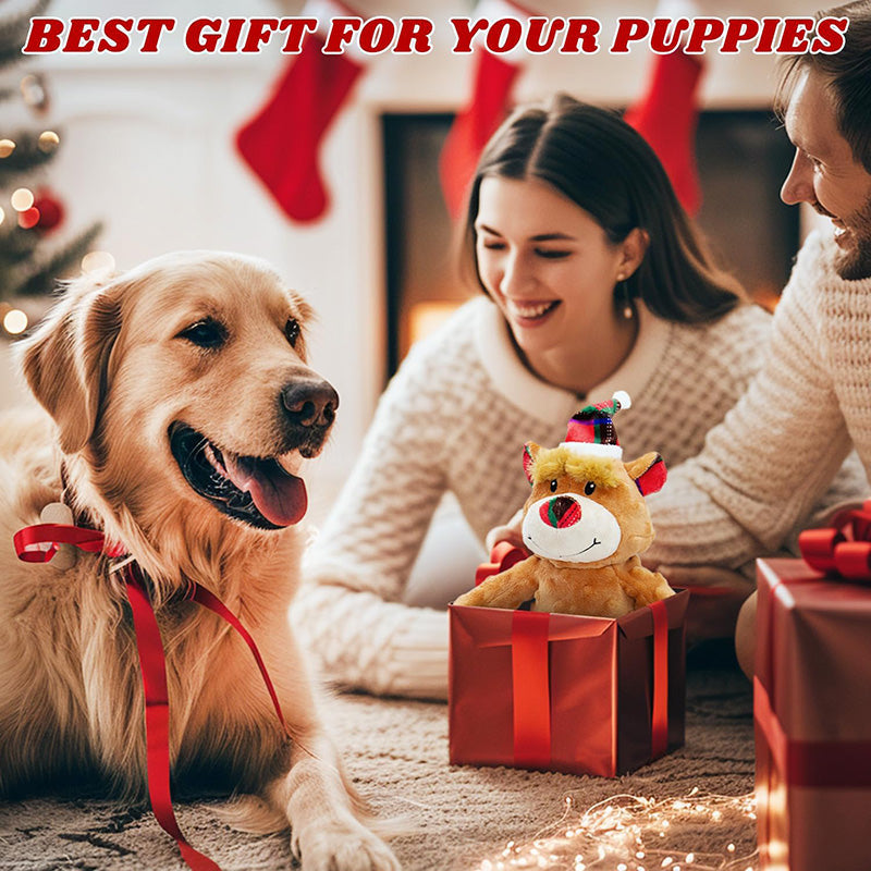 Indestructible & Interactive Bear Dog Toys For Heavy Chewers