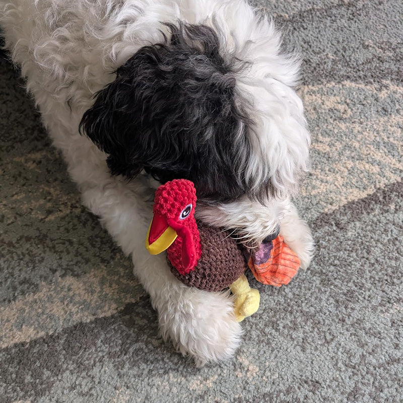 Indestructible & Interactive Bear Dog Toys For Heavy Chewers