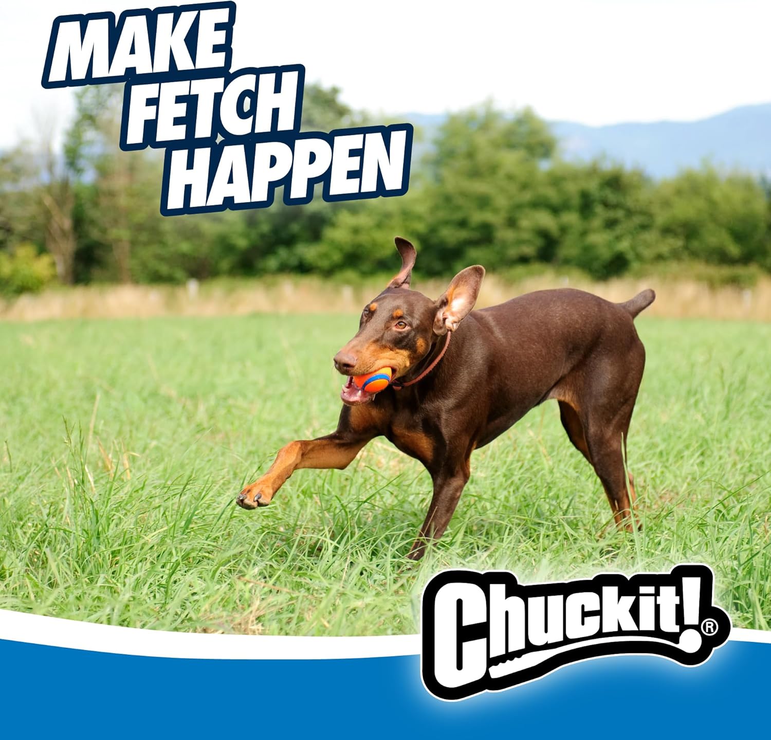 Chuckit Ultra Ball for Dogs