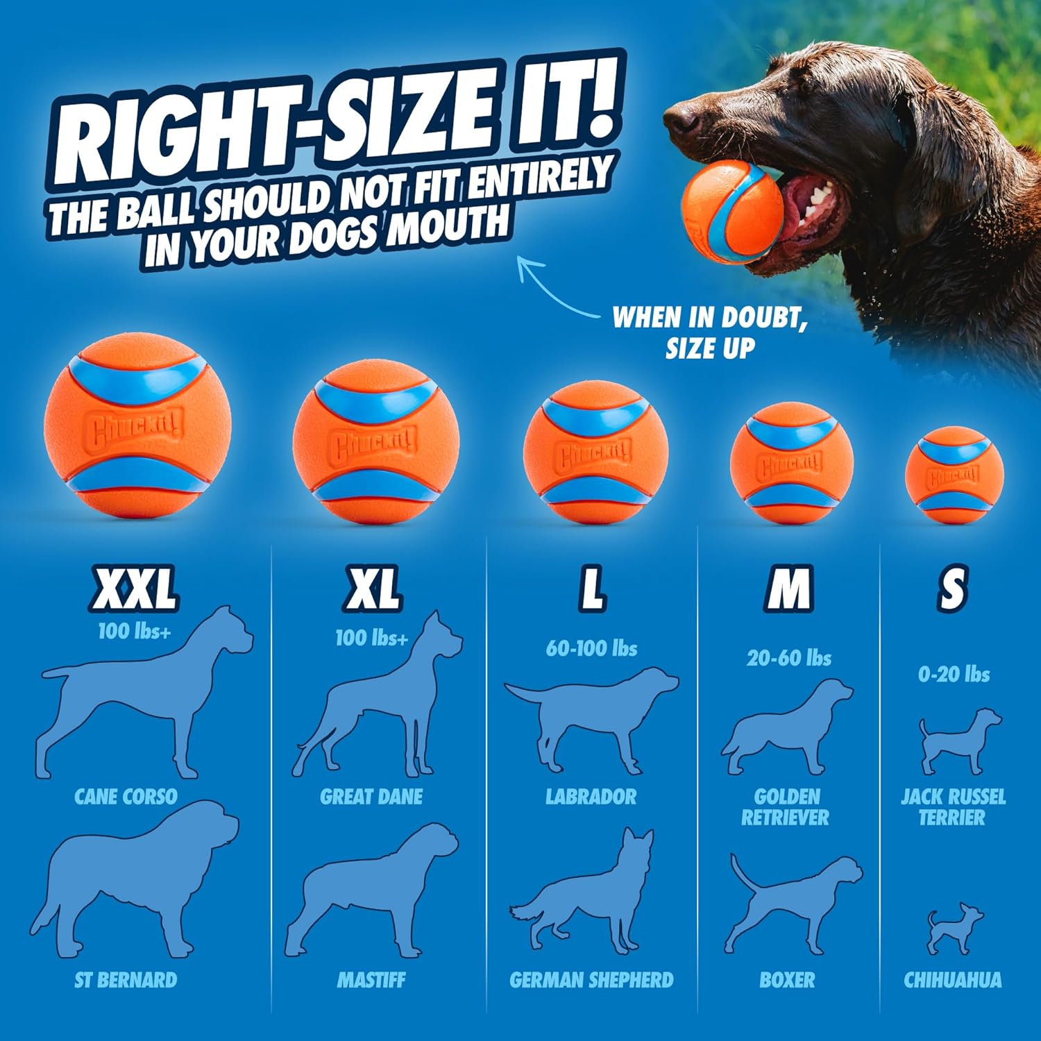 Chuckit Ultra Ball for Dogs