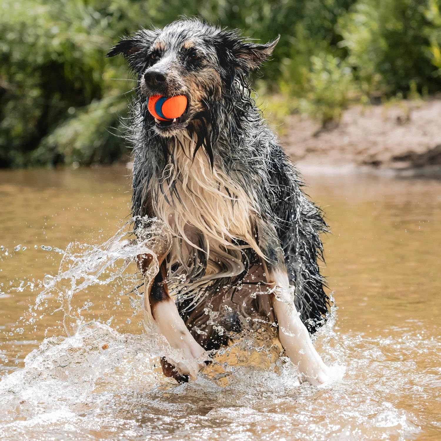 Chuckit Ultra Ball for Dogs