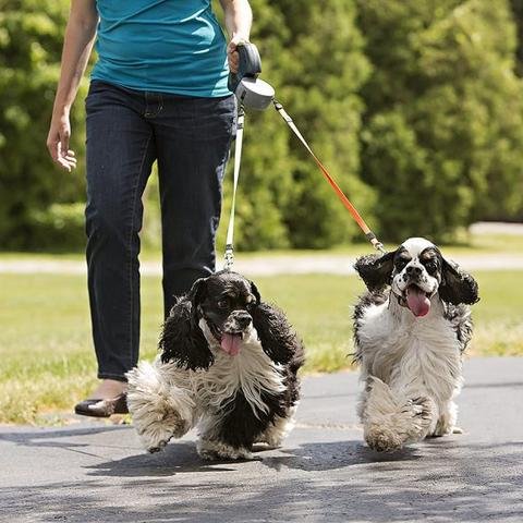 Double TangleFree Dog Leash with Light, Waste Bag Holder & 360° Swivel for Two Dogs