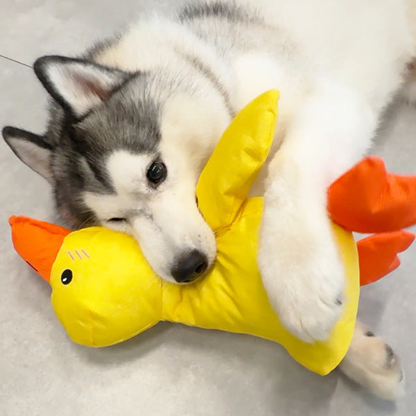 Calming Duck Dog Toy