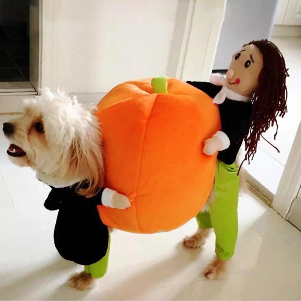 Dog Pumpkin Halloween Costume