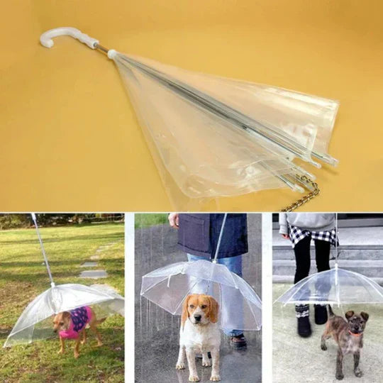 Dog Umbrella with Leash