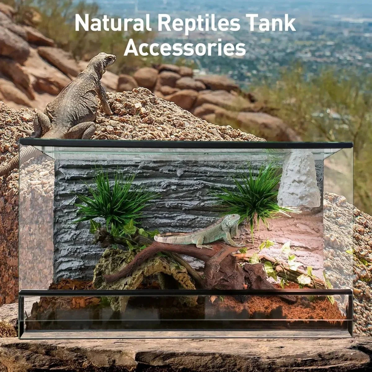 Penn Plax Natural Driftwood for Aquarium Decor Branch Decorations for Reptile Tank - Talis Us