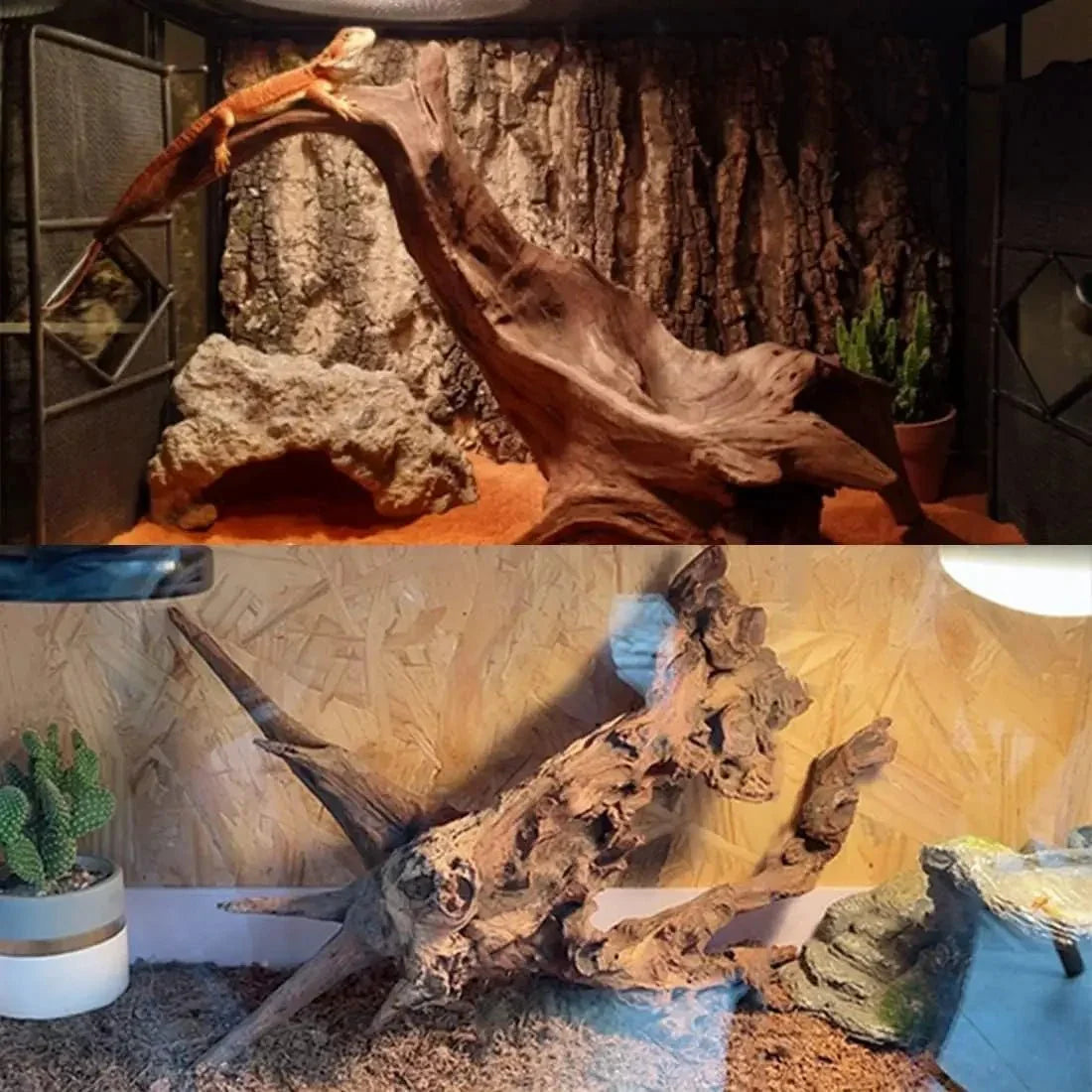 Penn Plax Natural Driftwood for Aquarium Decor Branch Decorations for Reptile Tank - Talis Us